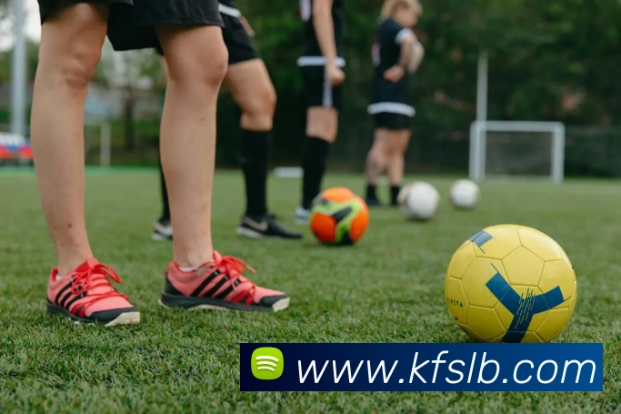 App Interface Preview